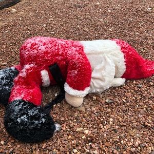 Meet your Posher, Diego